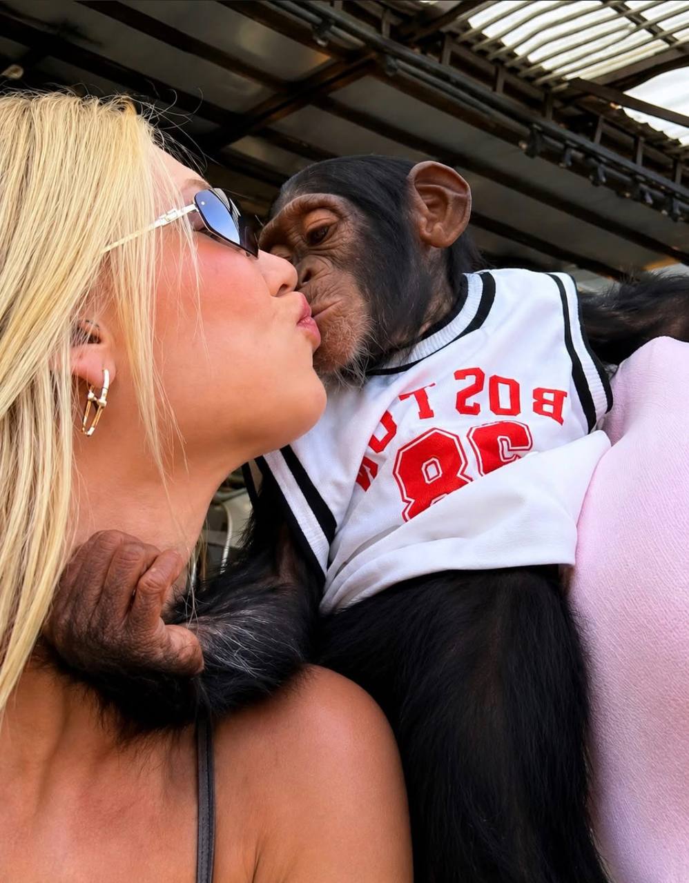 Virgínia ‘beija’ macaco em zoológico