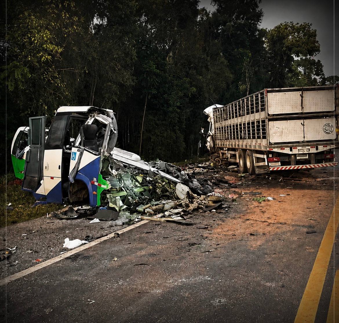Acidente fatal na BR-373 deixa 23 vítimas